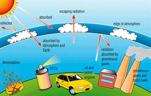 Greenhouse Effect