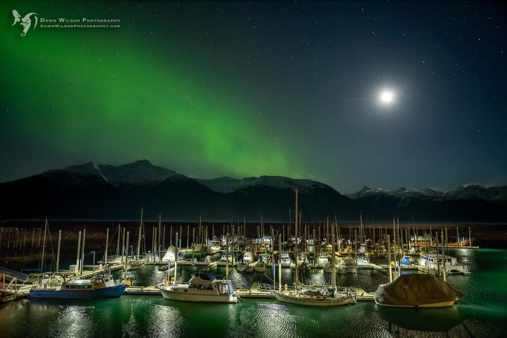 The Aurora Borealis above Haines Harbor, Haines, Alaska – Photo by Dawn Wilson